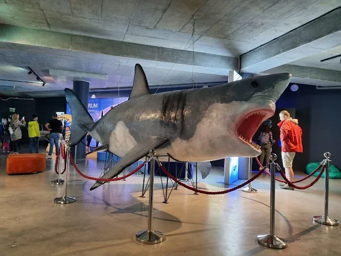 Oceanarium Międzyzdroje